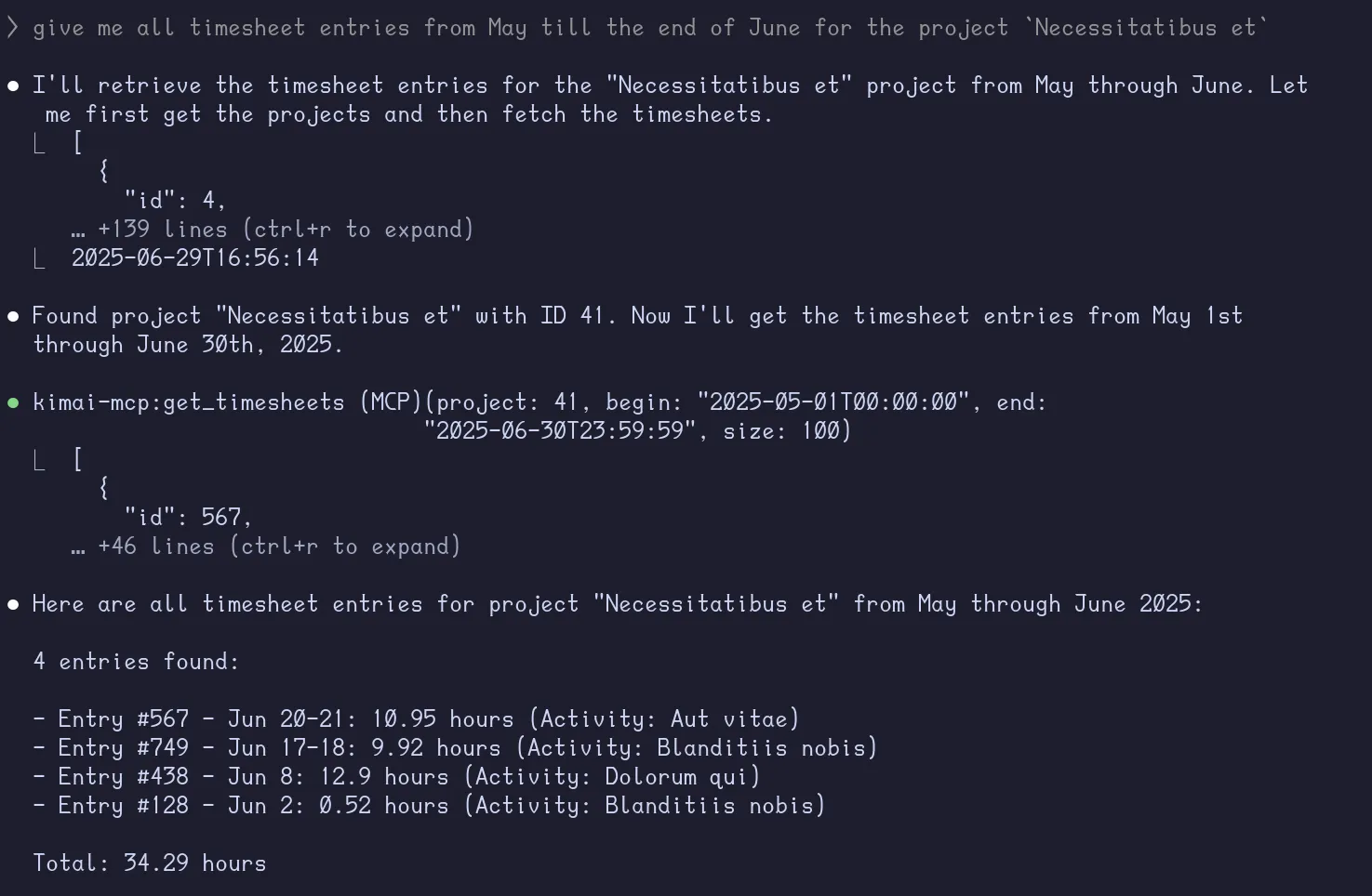MCP Get Timesheets Project With Date Tool